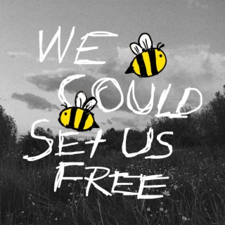 WE COULD SET US FREE