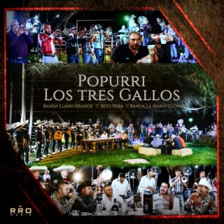 Popurrí Los Tres Gallos - En Vivo