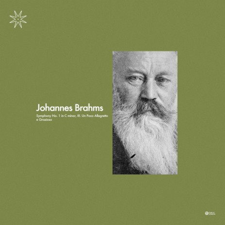 Brahms: Symphony No. 1 in C Minor, III. Un Poco Allegretto e Grazioso