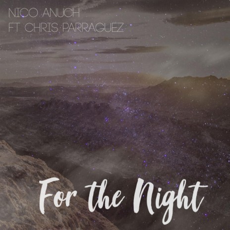 For The Night | Boomplay Music