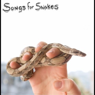 Songs for Snakes