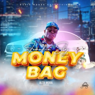 Money Bag