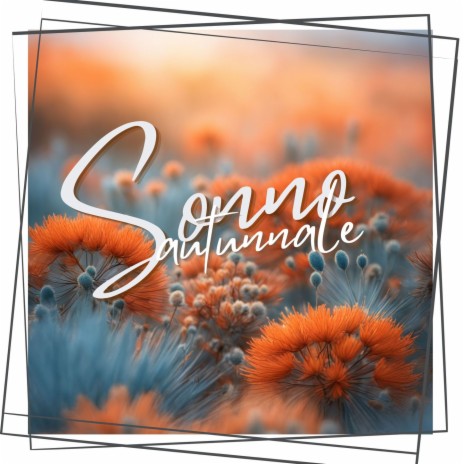 Plenitudine sonora | Boomplay Music