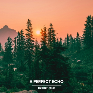 A Perfect Echo