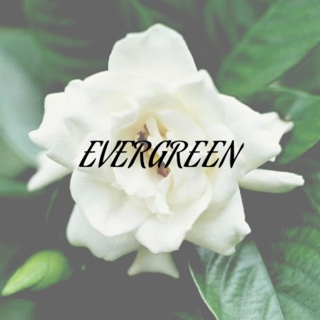 EVERGREEN | Boomplay Music