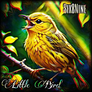 Little Bird