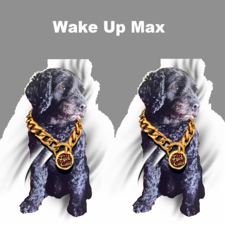 Wake up Max | Boomplay Music