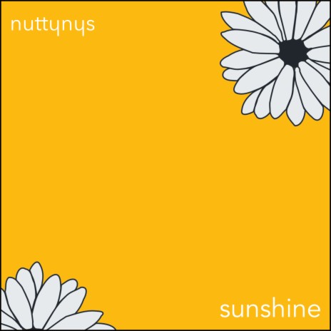 Sunshine | Boomplay Music