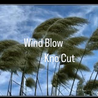 Wind Blow