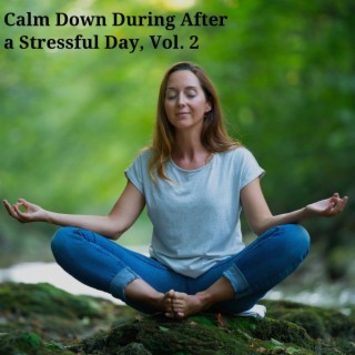 Calm Down During After a Stressful Day, Vol. 2