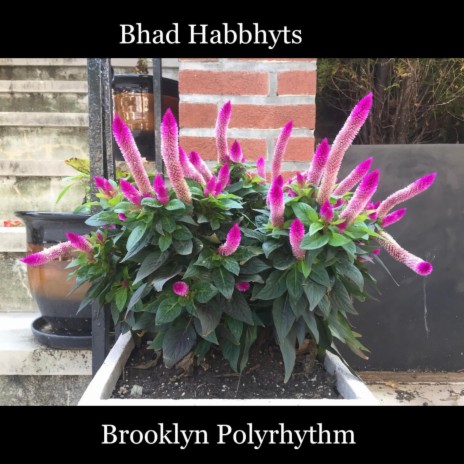 Brooklyn Polyrhythm