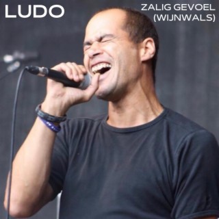 Zalig Gevoel (Wijnwals) lyrics | Boomplay Music