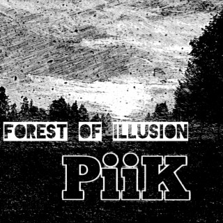 Forest of Illusion