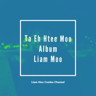 Liam Moo