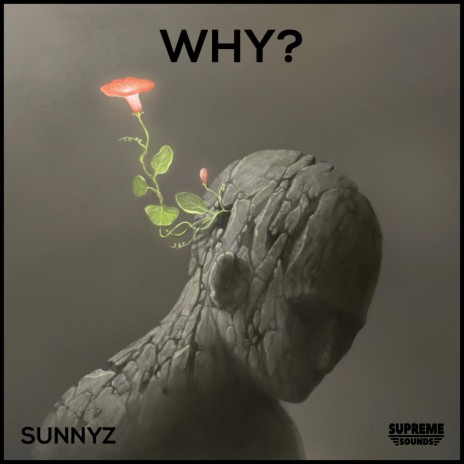 Why? | Boomplay Music