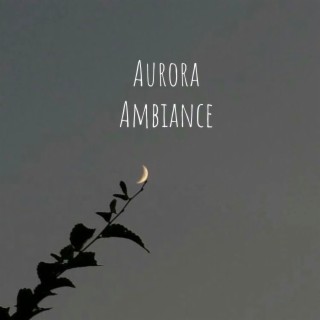 Aurora Ambiance