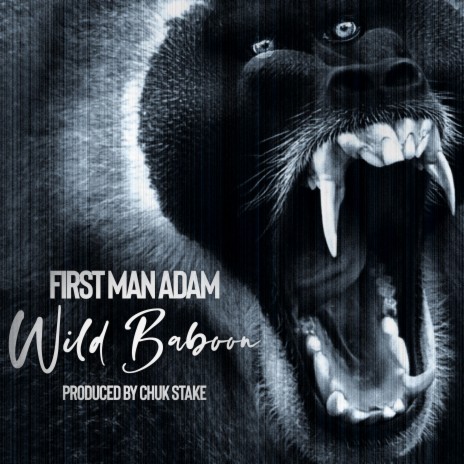 Wild Baboon | Boomplay Music