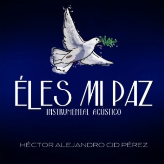 Él Es Mi Paz (Instrumental Acústico)