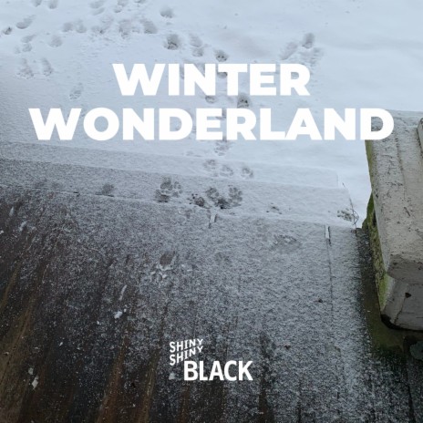 Winter Wonderland (Cover) | Boomplay Music