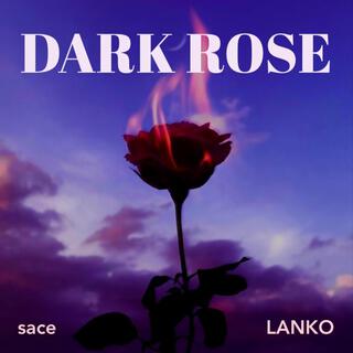 Dark Rose