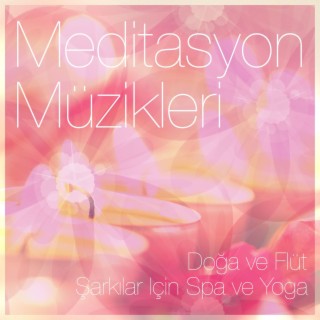 Meditasyon Müzikleri: Doğa ve Flüt, Şarkılar Için Spa ve Yoga