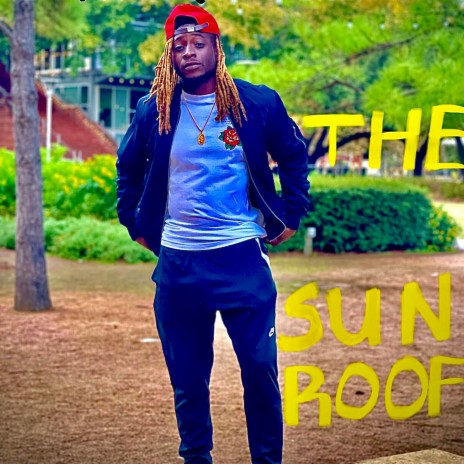 The sunroof | Boomplay Music