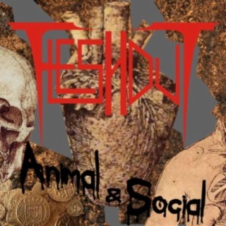 Animal & Social