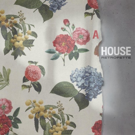 A House | Boomplay Music