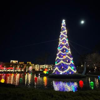 Christmas at the Park