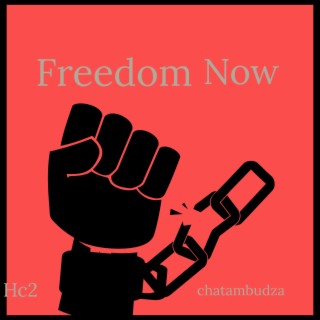 Freedom Now