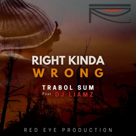 Right Kinda Wrong ft. Dj Liamz | Boomplay Music