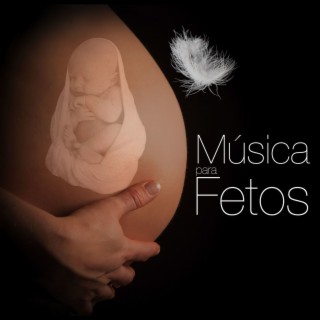 Música para Fetos: Canciones Relajantes para Embarazadas y Musica para Bebes en el Vientre