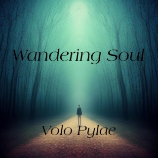 Wandering Soul