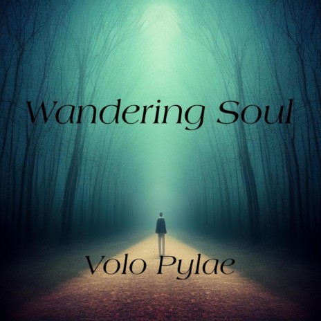 Wandering Soul | Boomplay Music