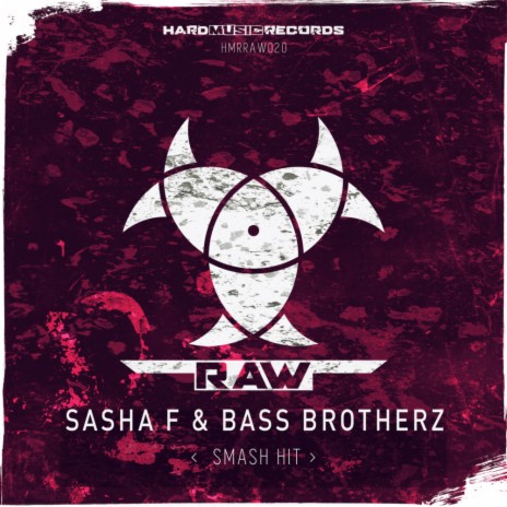 Smash Hit (Radio Edit) ft. Bass Brotherz | Boomplay Music