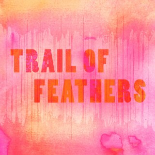 Trail of Feathers