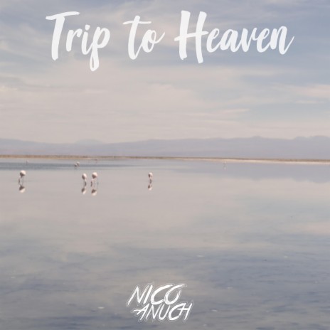 Trip to Heaven | Boomplay Music