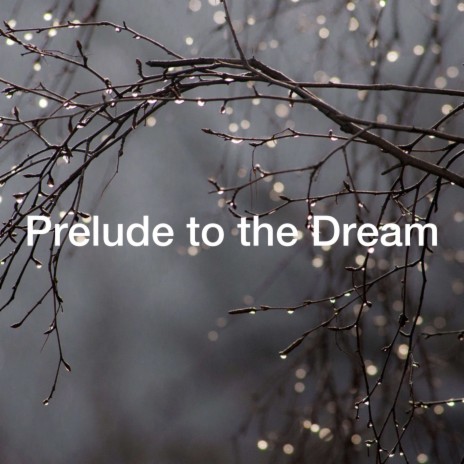 Prelude to the Dream | Boomplay Music