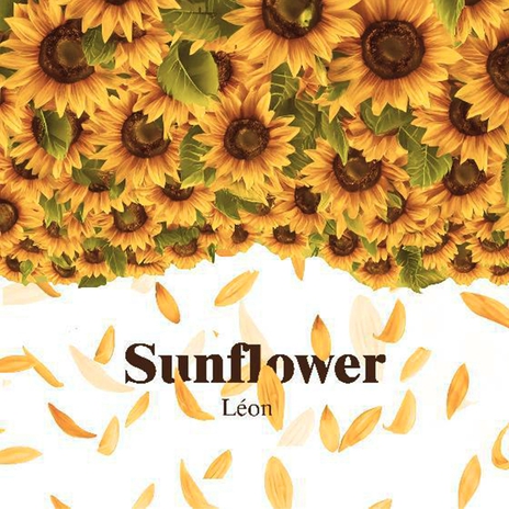 Sunflower | Boomplay Music