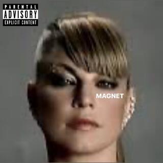 Magnet