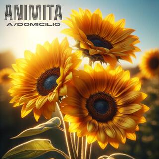 ANIMITA