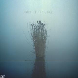 Part of Existence