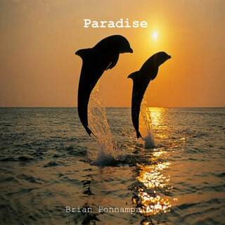 Paradise