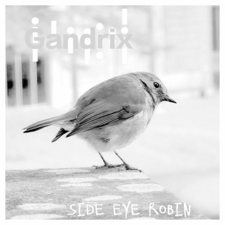 Side Eye Robin | Boomplay Music