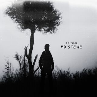 Mr Steve