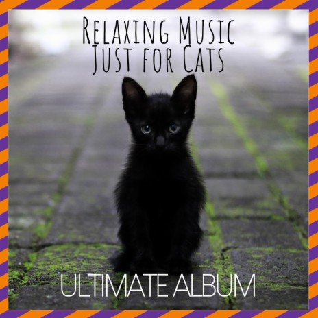 The Relaxed Cat ft. Cat Music Dreams & Cat Music Therapy