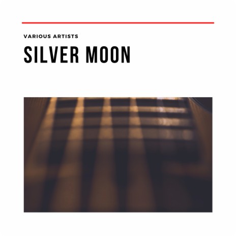 Silver Dollar | Boomplay Music