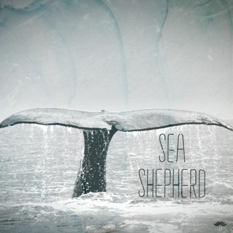 Sea Shepherd | Boomplay Music