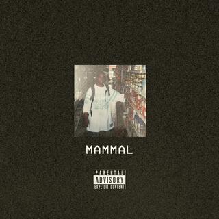 MAMMAL