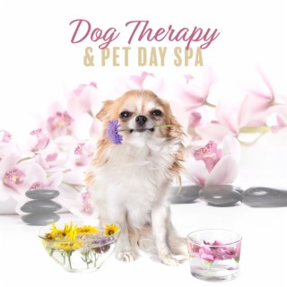 Dog Therapy & Pet Day Spa - Relax and Calm Down Your Dog, Pet Relaxation, Stress Relief, Anxiety Meditation, Sleep Aids, 432Hz Healing Sound Bath for Dogs in Pet Salon